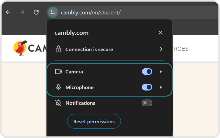 camera permissions.png